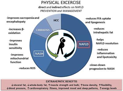 NAFLD and Physical Exercise: Ready, Steady, Go!